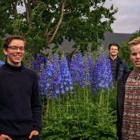 Ari Orra og hljómsveit í garðinum við Davíðshús