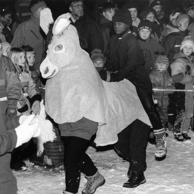 dagurthrettandagledi-26l