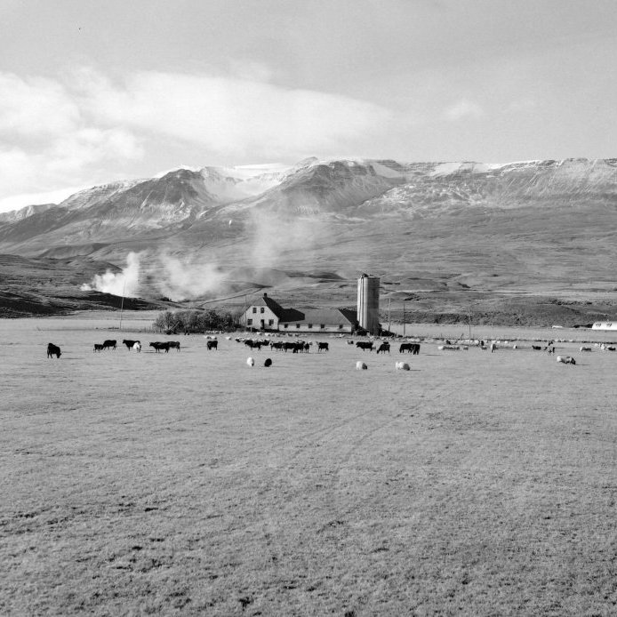 19. Stórbýlið Lundur þar sem nú er Lundahverfi. Jakob Karlsson kaupmaður reisti Lund árið 1925 að fyrirmynd erlendra búgarða. Þar ríkti fyrirmyndar regla og stundvísi. Reykurinn stígur upp frá öskuhaugum bæjarbúa en stranglega bannað að kveikja í rusli. Sjálfsíkveikjur voru óvenju algengar! Ljósmynd Eðvarð Sigurgeirsson.