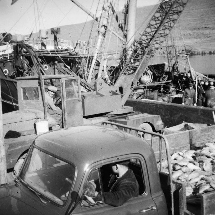 23. Uppskipun úr síðutogara Útgerðafélags Akureyringa um 1957. Ísfisknum var mokað í stórum kerjum á vörubílspall þar sem sólin bakar hann. Ljósmynd Geir Garðarsson.