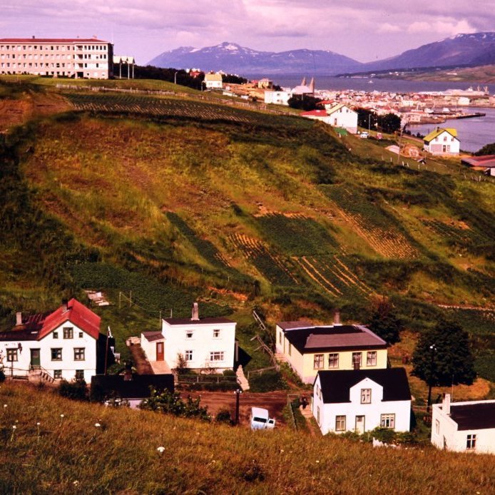 62. Búðargil um 1970. Greinilega má sjá gömlu kartöflugarða Akureyringa en þar hófst ræktun um aldamótin 1800. Lengst til vinstri í miðri hlíðinni sjást leifar af fyrstu vatnsveitu bæjarins frá 1903. Þá var í fyrsta skipti leitt vatn inn í fjölda húsa með röri. Hvíta kassalaga húsið fyrir miðri mynd, Lækjargata 16, er nú horfið. Lengst til hægri á brekkubrúninni er hvítt hús, kallað kastalinn, þar bjó lengi „Tóbaks-Steini“. Ljósmynd Gunnlaugur P. Kristinsson.