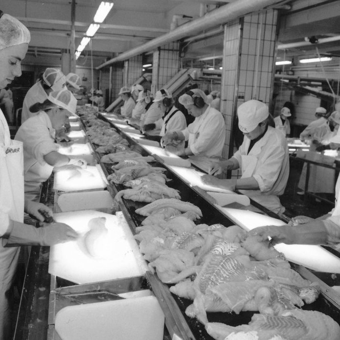 65. Snyrtiborð í vinnslusal Útgerðafélags Akureyringa 11. Júní 1991. Ljósmynd Golli.