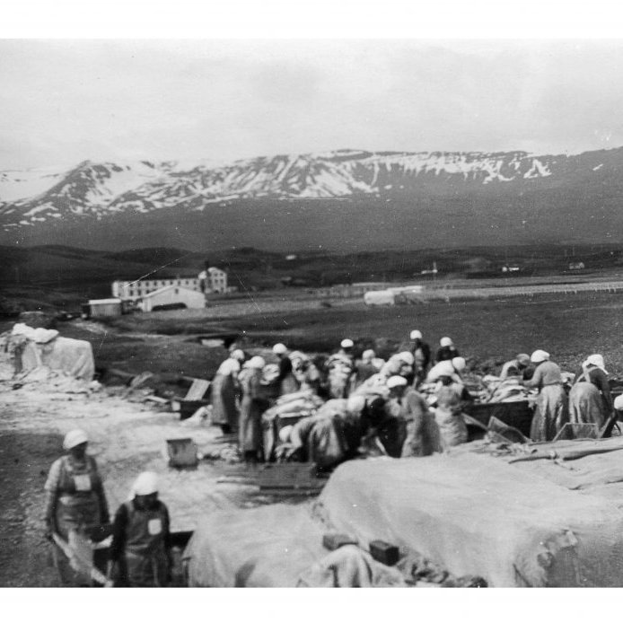 95. Vatnið úr Glerá var margnýtt. Það knúði vélarnar í verksmiðjunni, hægra megin við hana er myllan sem einnig nýtti vatnskraftinn sem að lokum var notaður til að skola saltfiskinn. Saltgiskunarstöðin á myndinni var ein þriggja á Oddeyri. Hægra megin á myndinni sjást býlin í Glerárhverfi.