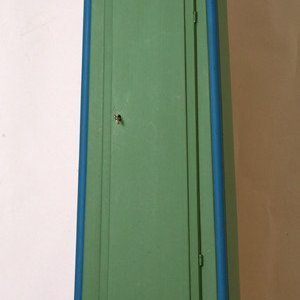 Borgundarhólmsklukka sem er talin vera úr búi Þorsteins Daníelssonar á Skipalóni í Hörgárbyggð. Eftir 1850 fóru stundaklukkur að berast til Íslands. Stofuklukkur voru stöðutákn á efnameiri heimilum. Vasaúr þóttu líka góð eign. Hver og einn gat still sína klukku eftir hentugleikum. Eftir að Ríkisútvarpið kom til 1930 varð meira samræmi á landsvísu.