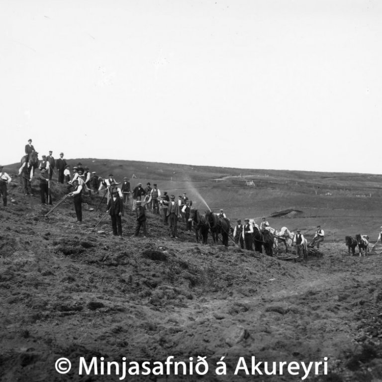 Gróðrastöðin syðst í Fjörunni var stofnsett árið 1903 fyrir forgöngu Sigurðar Sigurðssonar frá Draflastöðum, síðar búnaðarmálastjóra, og Páls Briem amtsmanns. Brjóstlíkön af þeim báðum hafa verið reist í garðinum við húsið. Bæjarstjórn Akureyrar samþykkti 16. Júní 1903 að gefa Ræktunarfélagi Norðurlands 25 dagsláttur í Naustalandi til ræktunar, og hófst vinna í Gróðrarstöðinni sama ár.
