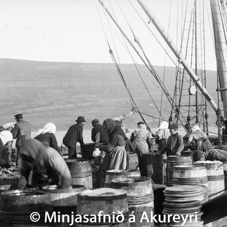 Á síldarplaninu. Hver tunnan af annarri fylltist af fallegri síld.