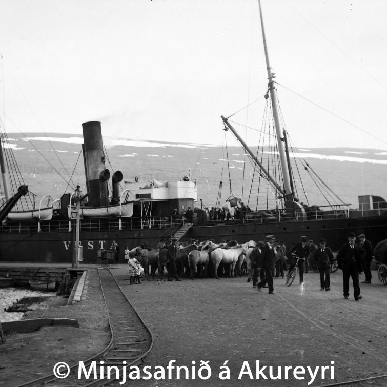 Hross seld til útflutnings.