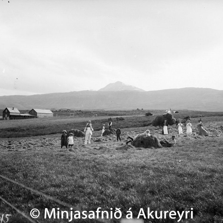 Í brakandi þerri vinnur fjölskylda og kaupafólk Axels Schiöths bakarameistara við heybindingu og flutning á heyi í hlöðu á Sunnuhvoli ofan Búðargils.