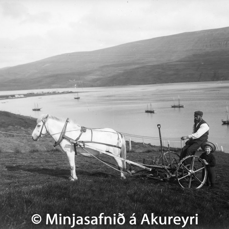 Ein af fyrstu sláttuvélunum á Akureyri. Nokkrar skútur liggja við akkeri á Pollinum. Myndin er tekin austan Eyrarlandsvegar, syðst.