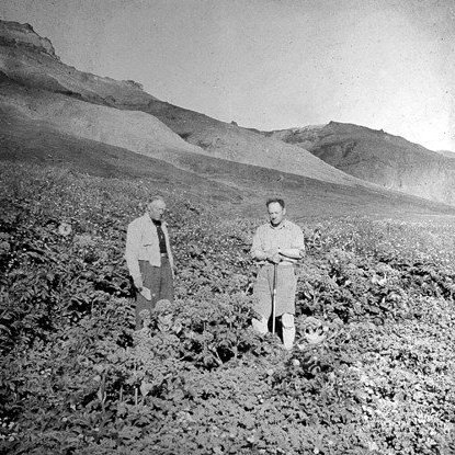 Ólafur Jónsson í gróðrarstöðinni og Jón Sigurgeirsson frá Helluvaði.