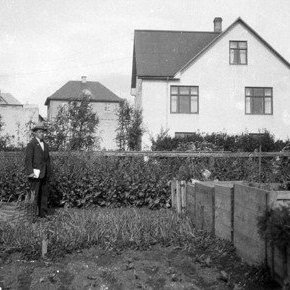 Frá Gróðrastöðinni í Reykjavík. Takið eftir að búið er að byggja uppi á Laufásvegi.