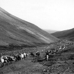 Mývetningar í kaupstaðarferð til Vopnafjarðar.