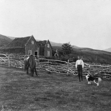 Viðivellir, Fnjóskadal, S-Þing. Tekin 1922-1925. Dengurinn er Ingólfur Þorvaldsson (f. 1909), leigubílsstóri á Akureyri. Myndina tók Hans Kuhm. Sjá bókina