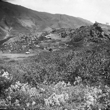 Bolabás í Þingvallasveit, Ármannsfell í baksýn.