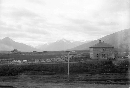 52_25-35351.jpg