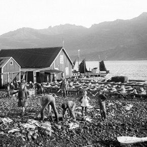 Fáskrúðsfjörður.Fjöllin sunnanmegin Kötturinn í fjallinu ca. fyrir miðju aðeins til vinstri.