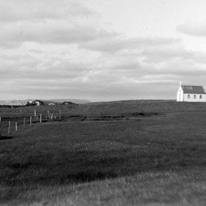 Víðirhóll á fjöllum.