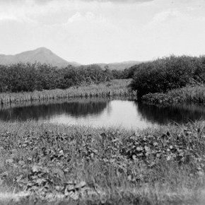 Slútnes, tjörn í Slútnesi í Mývatnssveit. Reykjahlíðarfjall í baksýn.