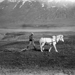 Jón Þorsteinsson herfir í Blakksgerði í Svarfaðardal.