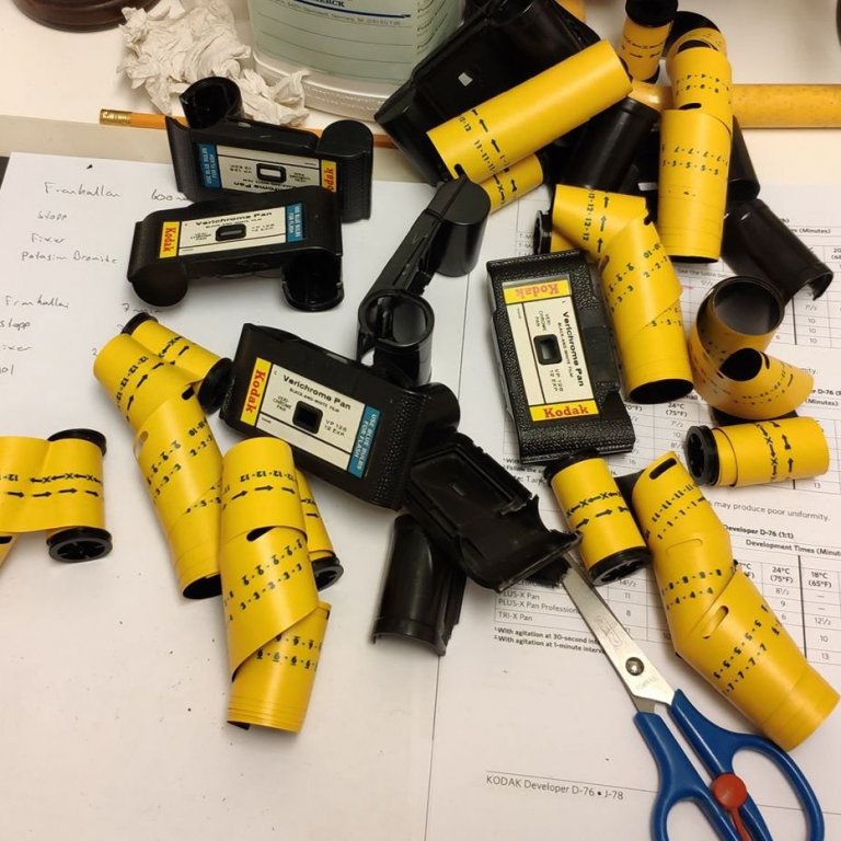 82087828_10217831823101775_924405257067298816_o