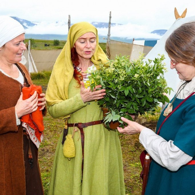 Te í undirbúningi.