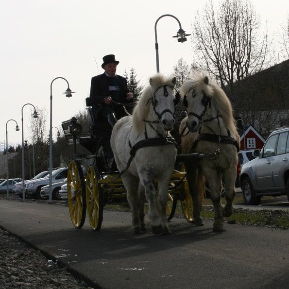 Sveinn á Kálfsskinni fór tugi ferða á vagninum.