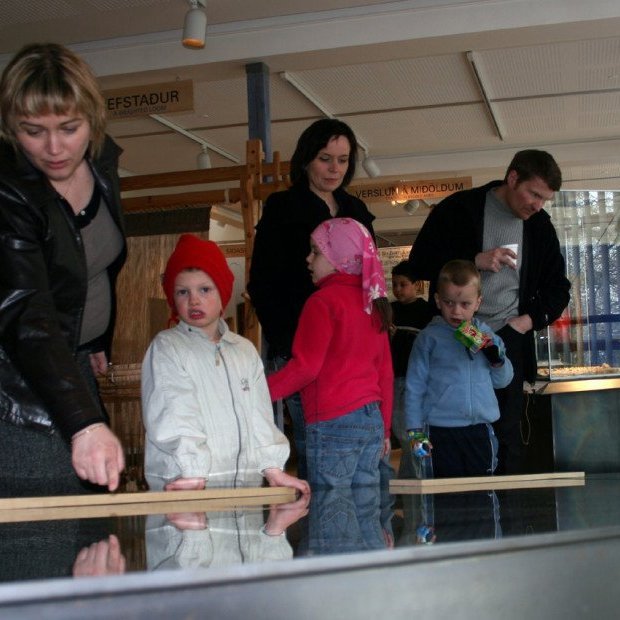 Kumlið í sýningunni vakti mikinn áhuga.