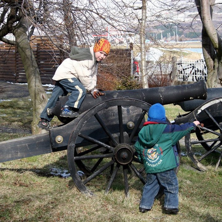 Íslenska varnarliðið?