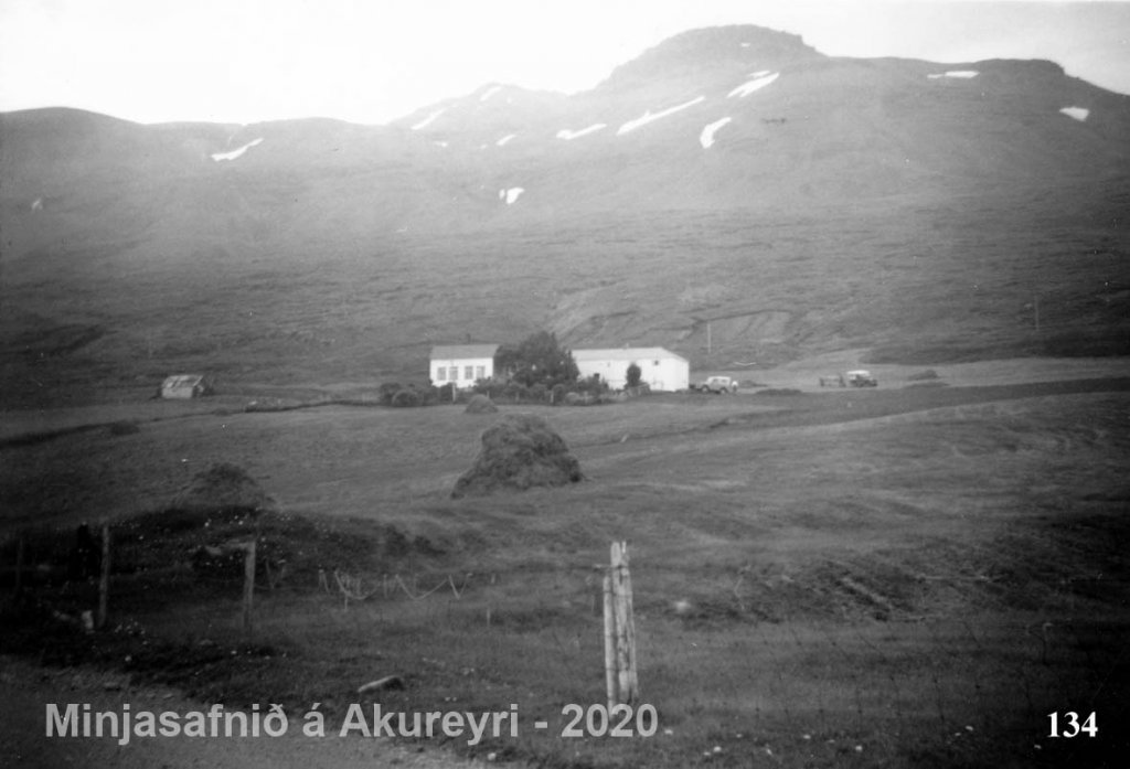 134-stae3-5658.jpg