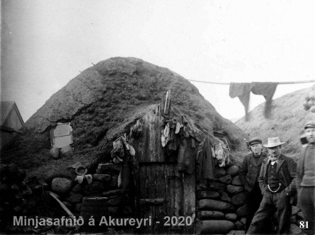 81-m-stae3-6723.jpg
