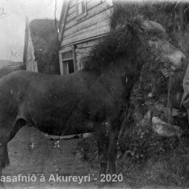 Þekkir þú… staðinn, fólkið, tilefnið eða tímann?  Sendu okkur póst minjasafnid@minjasafnid.is