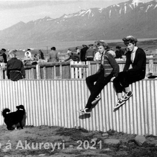 126. Stúlkur á réttarvegg við Þorvaldsdalsá á Árskógsströnd. Myndin tekin í norður og það sést í endann á Hrísey til vinstri. 1. Ingibjörg Árnadóttir. 2. Selma Jóhannsdóttir frá Sandvík á Hauganesi. 3. Hanna Sveinbjörnsdóttir frá Steinnesi á Hauganesi. Myndin er líklega tekin á árunum 1954-1956.