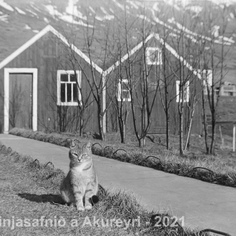 40. Þekkir þú… staðinn, fólkið, tilefnið eða árið? Sendu okkur póst minjasafnid@minjasafnid.is