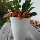 Síðustu dagar sumaropnunar