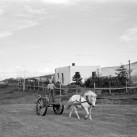 Hér á ég heima! Sýning á myndum og munum úr Hörgársveit.