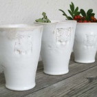 Forvitnileg safnbúð