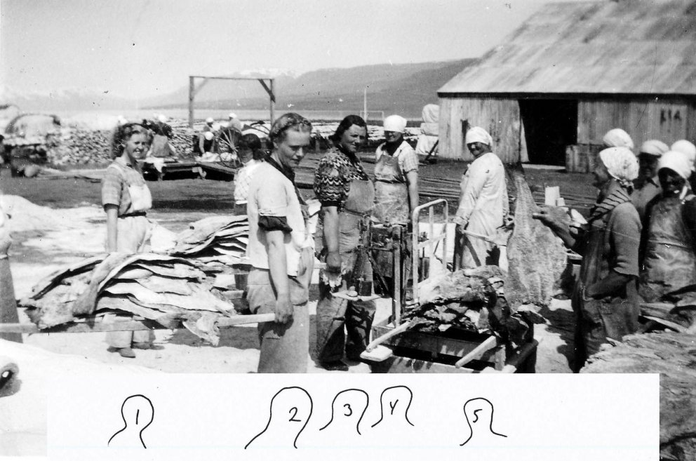 Hverjar eru söltunarstúlkurnar á Oddeyri?