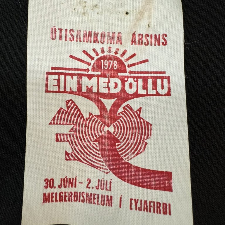Ein með öllu